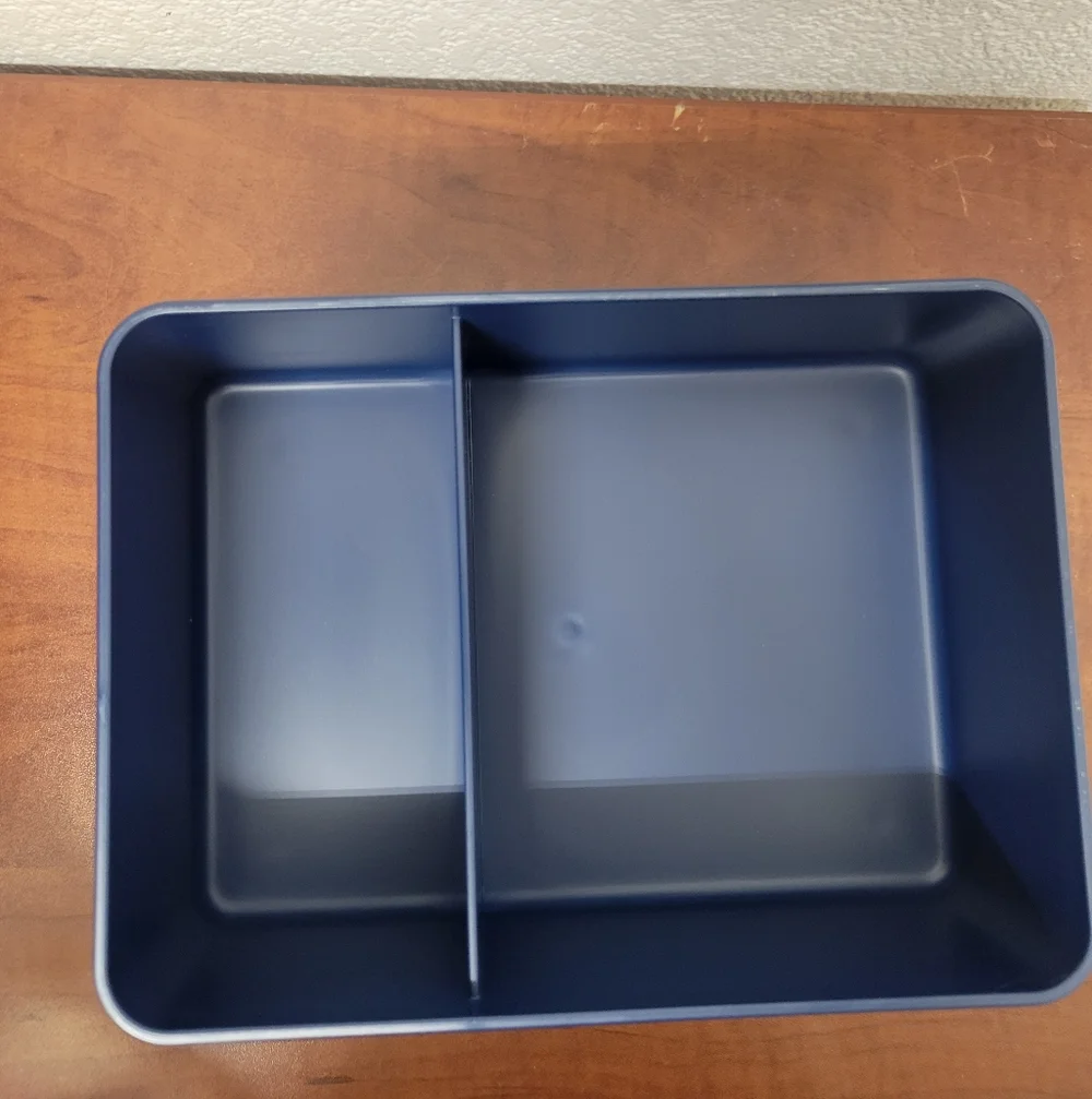 Figmint Blue Bento Box Set Of 2 Nwt